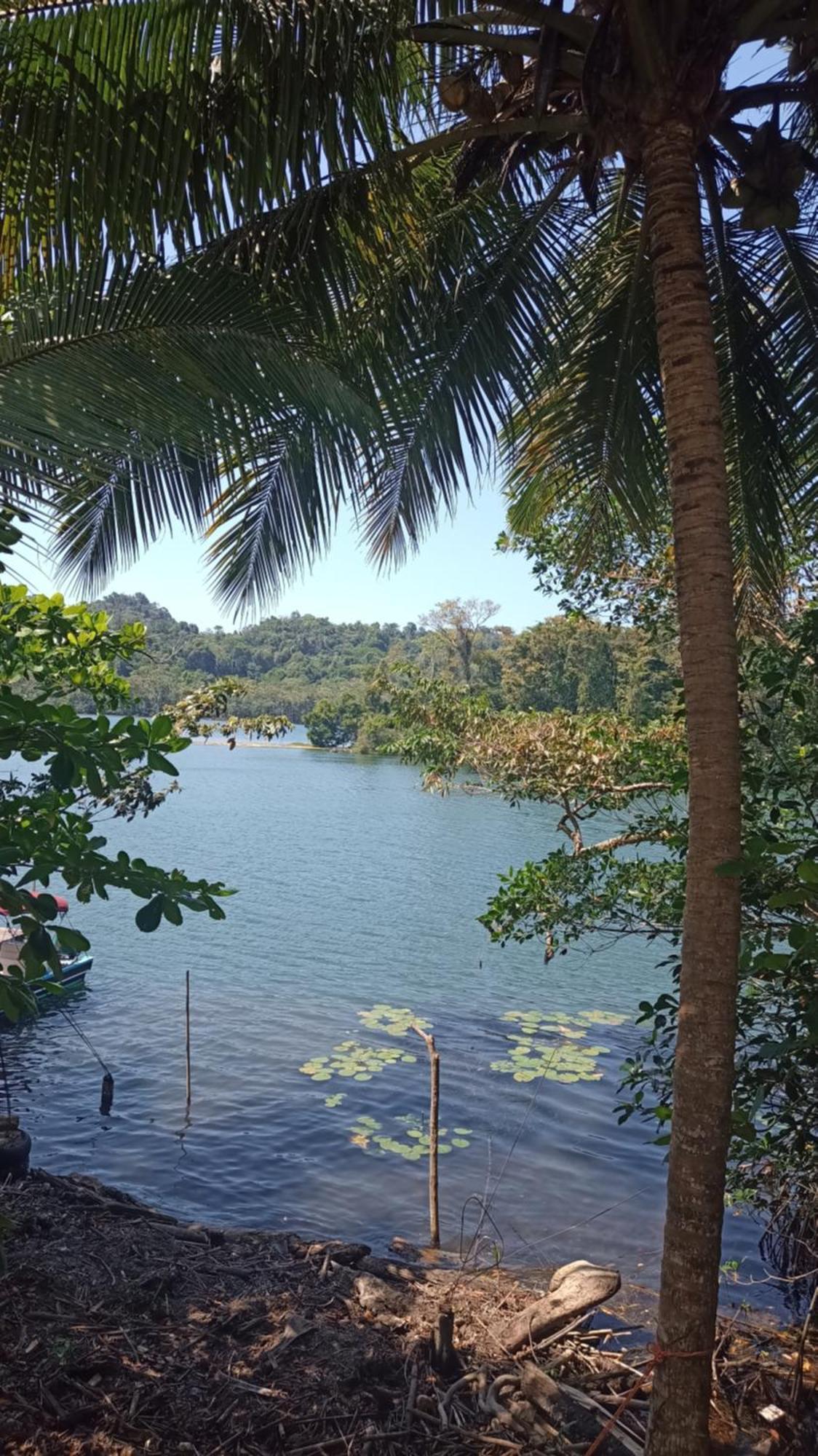 Casa Manati Hotel ลิฟวิงสตัน ภายนอก รูปภาพ